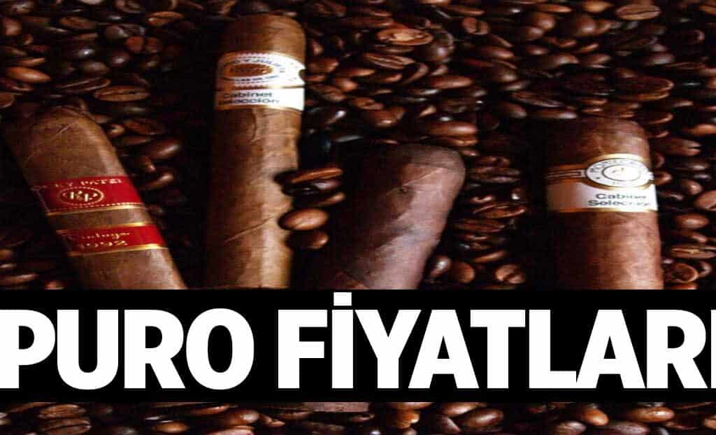 Puro Fiyatlari 1024x622WHc.jpg