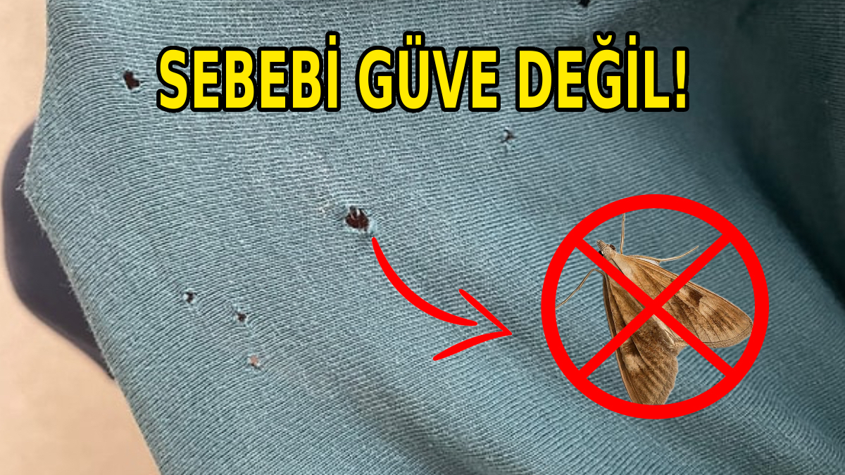 tisortlerinizdeki deliklerin sebebi guve degil bakin neden deliniyormus YSS3P6l8.jpg